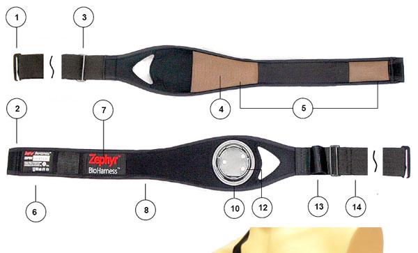 Now Streaming Data from the Zephyr BioHarness 3